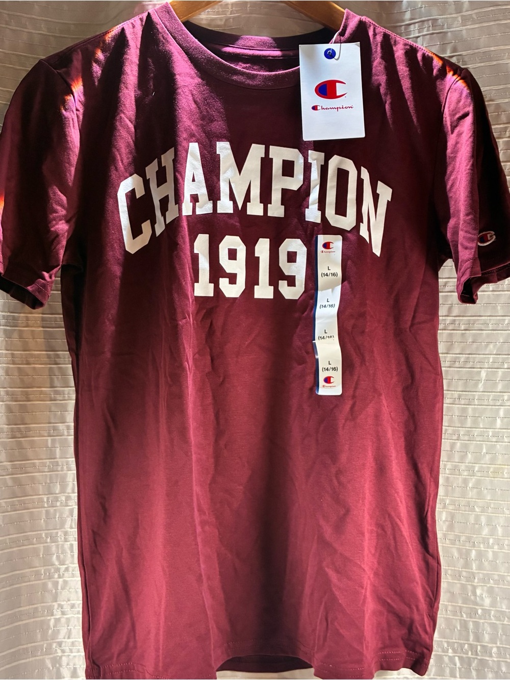 Champion Boy’s Maroon 'Champion 1919' Short-Sleeve T-Shirt